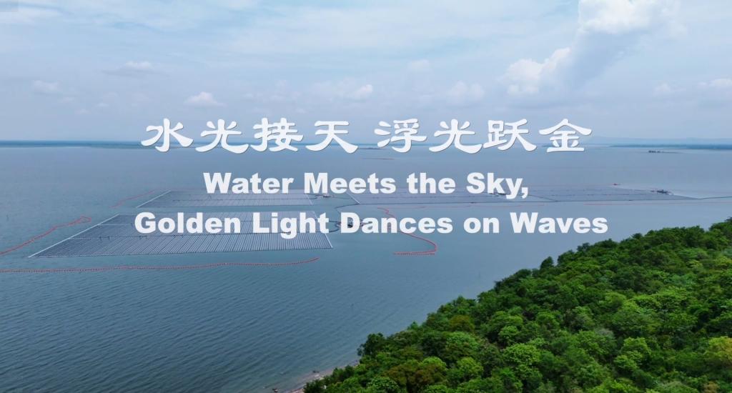 永信贵宾会·(中国)诚信为本！